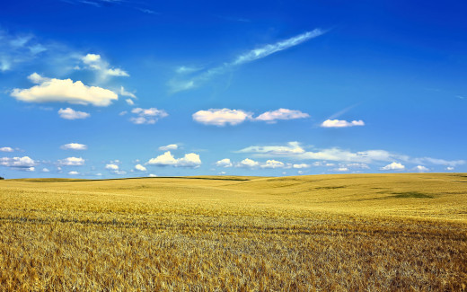 1742217 (a): :2560x1600